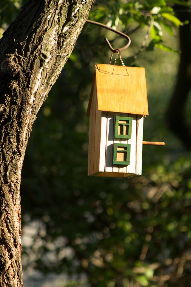 Căsuță de păsărele, decorațiune de grădină